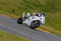 PJ-Motorsport-2019;anglesey-no-limits-trackday;anglesey-photographs;anglesey-trackday-photographs;enduro-digital-images;event-digital-images;eventdigitalimages;no-limits-trackdays;peter-wileman-photography;racing-digital-images;trac-mon;trackday-digital-images;trackday-photos;ty-croes